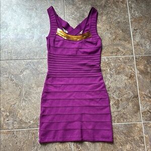 Purple and Gold Mini Dress